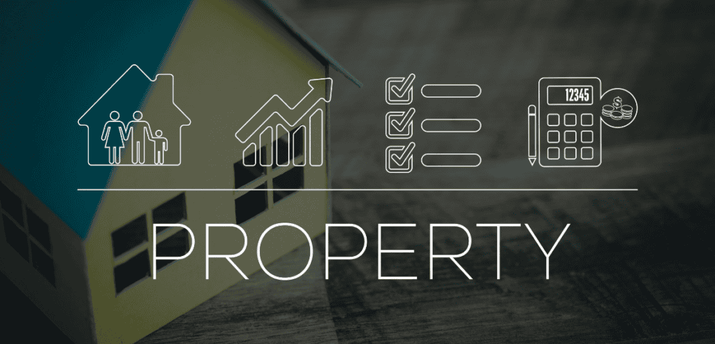 Intellectual Property Management Software